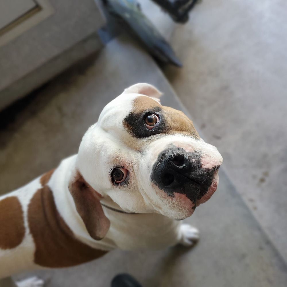 Meet your Posher, Jordan